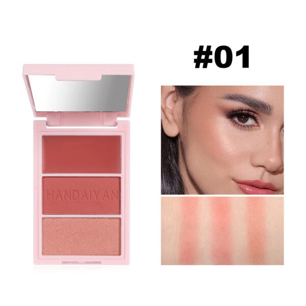 Blusher Plate Highlight Contour - Image 2