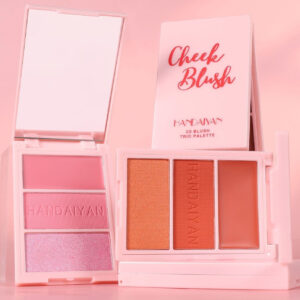 Blusher Plate Highlight Contour