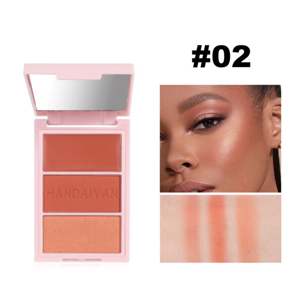 Blusher Plate Highlight Contour - Image 3